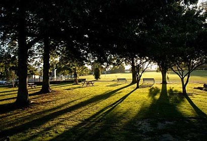 Fototapeta Park 6443